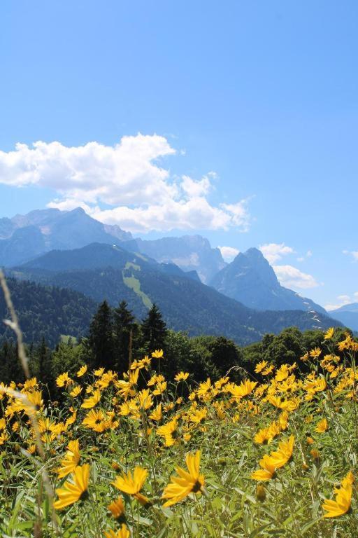 Pfeiffer Alm Am Sonnenhang Mit Blick Auf Die Zugspitze Garmisch-Partenkirchen Ngoại thất bức ảnh